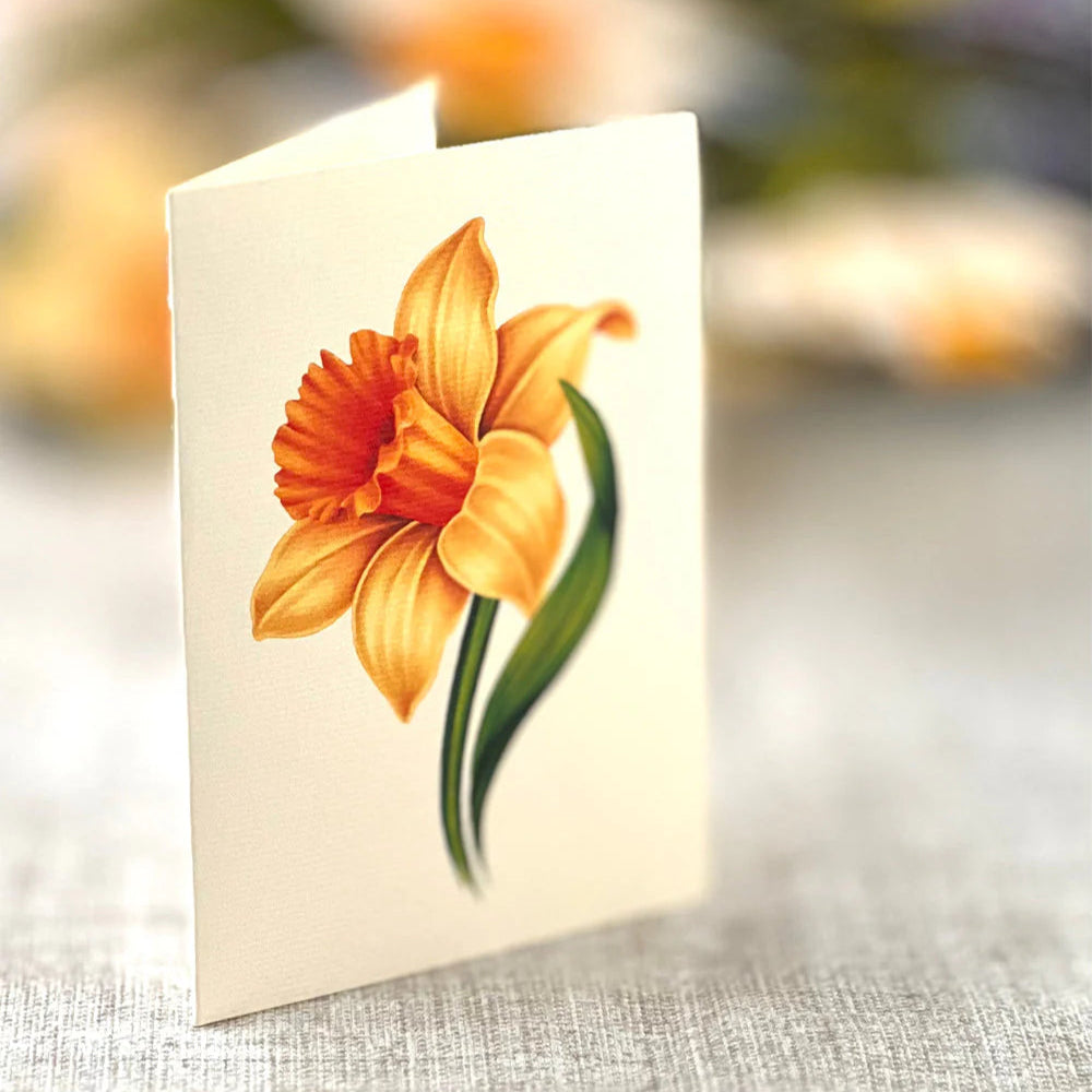 IloKimppu™ - Kukkalahja joka kestää