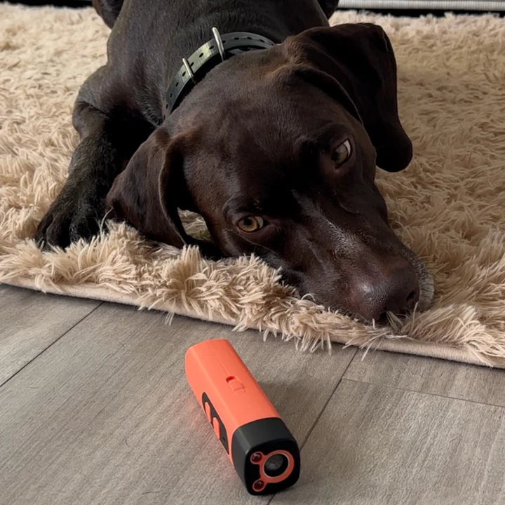 HaukkuStop™ – Apu turhaa haukkumista vastaan