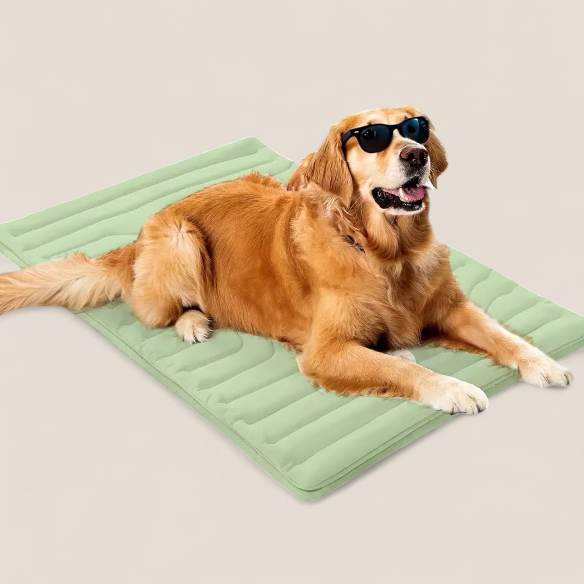 ViilennysPeti™